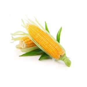 Sweet Corn 1 pc (Approx 250 g - 450 g)